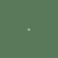 墨夜 (Midnight Ink) - 里番 创作者头像